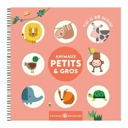 Animaux petits & gros