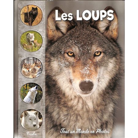 Les loups, Tout un monde en photos