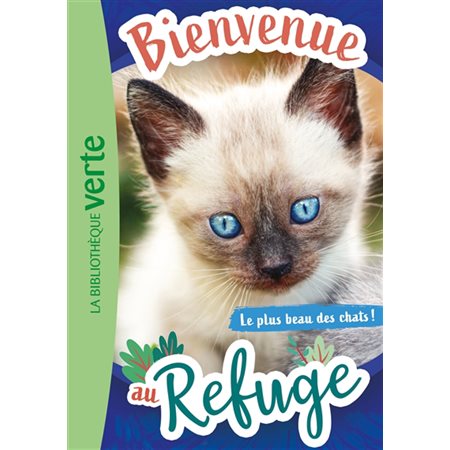 Bienvenue au refuge #9 Le plus beau des chats !