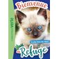 Bienvenue au refuge #9 Le plus beau des chats !