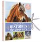 Mes histoires de chevaux