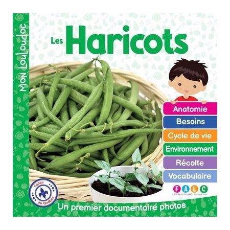 Mon Louloudoc : Les haricots