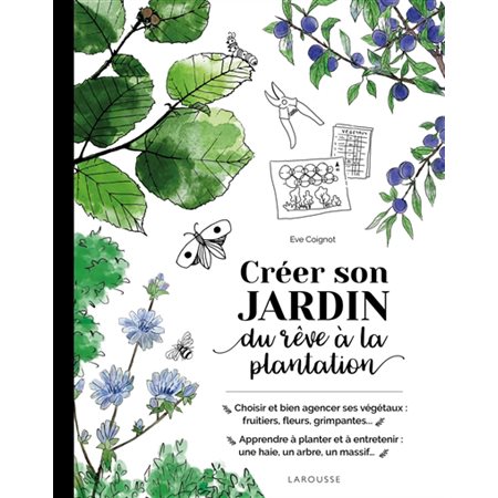 Créer son jardin : du rêve à la plantation