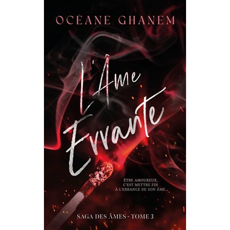 Saga des âmes #3 L'âme errante