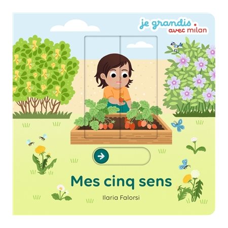 Mes cinq sens