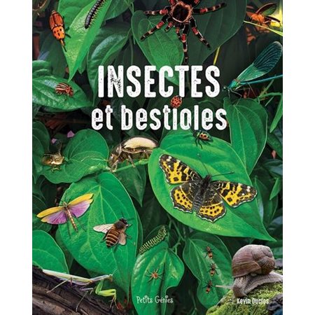 Insectes et bestioles