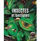 Insectes et bestioles