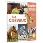 Découvrir et collectionner : Les chevaux
