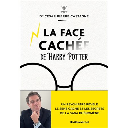 La face cachée de Harry Potter