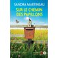 Sur le chemin des papillons