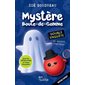 Mystère Boule-de-Gomme : Double enquête et esprit frappeur