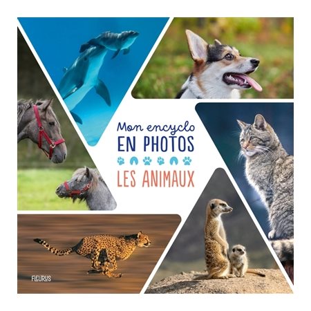 Mon encyclo en photos : Les animaux