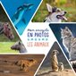 Mon encyclo en photos : Les animaux