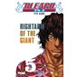 Bleach #5  Rightarm of the giant, Bleach