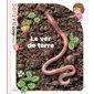 Le ver de terre