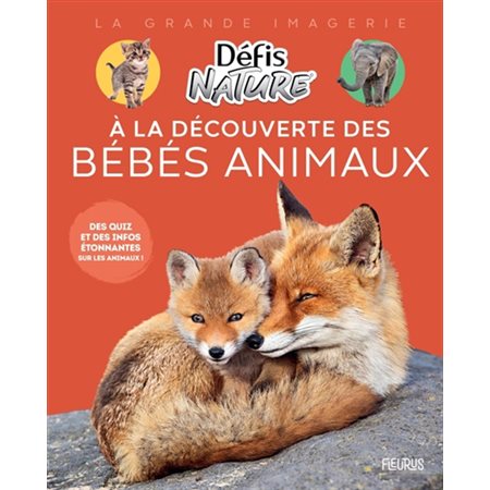 À la découverte des bébés animaux