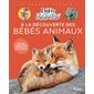 À la découverte des bébés animaux
