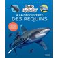 À la découverte des requins