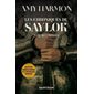 Les chroniques de Saylok #2 Le second fils