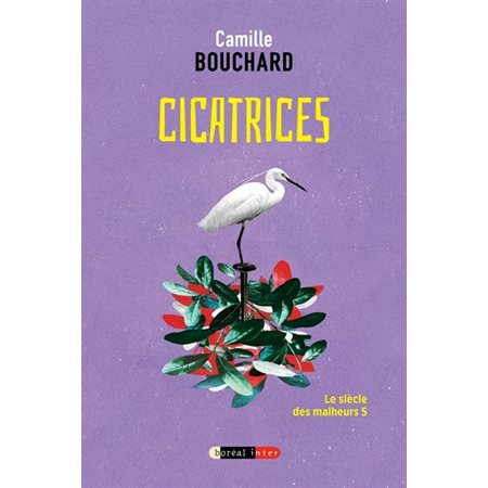 Le siècle des malheurs #5 Cicatrices