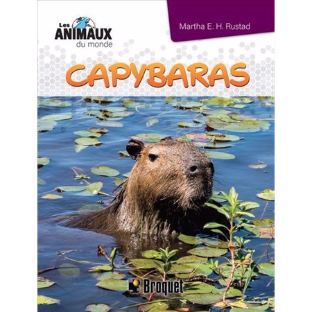 Capybaras