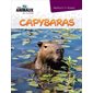 Capybaras