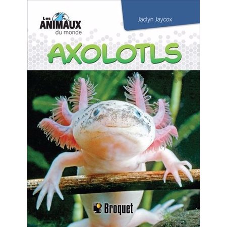 Axolotls