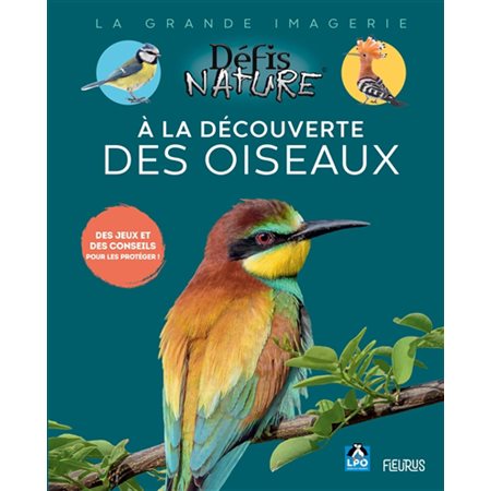 A la découverte des oiseaux