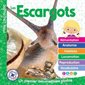 Mon Louloudoc : Les escargots