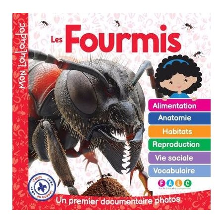 Mon Louloudoc : Les fourmis