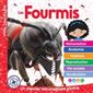 Mon Louloudoc : Les fourmis