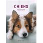 Chiens - Agenda 2026
