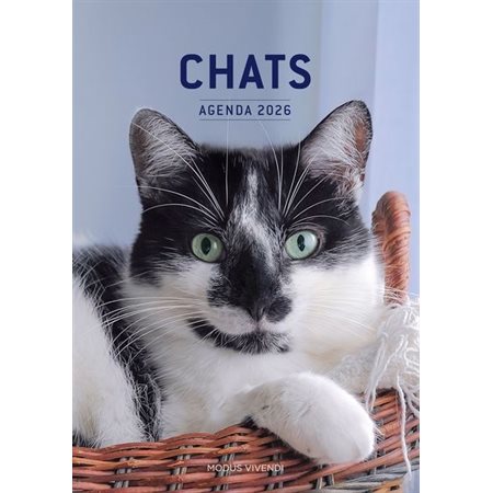 Chats - Agenda 2026