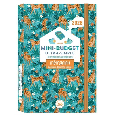 Mon mini-budget ultra-simple 2026