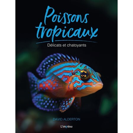 Poissons tropicaux : délicats et chatoyants