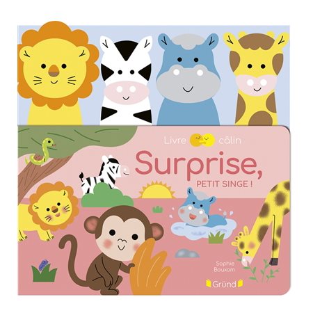Livre câlin : Surprise, petit singe !