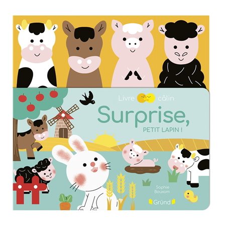 Livre câlin : Surprise, petit lapin !