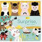 Livre câlin : Surprise, petit lapin !