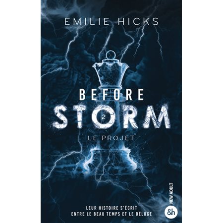 Before storm #2 Le projet