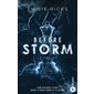 Before storm #2 Le projet