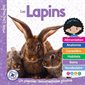 Mon Louloudoc, Les Lapins