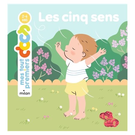 Les cinq sens