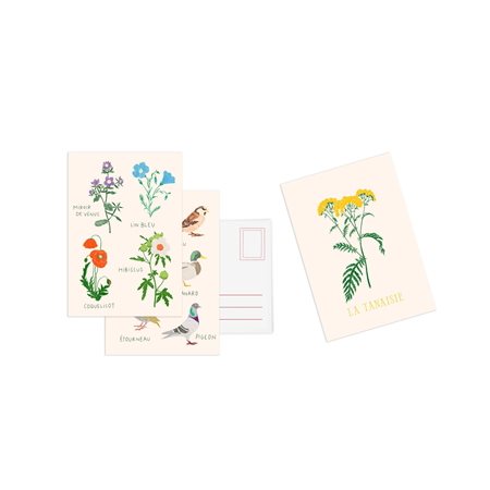 Cartes postales