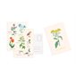 Cartes postales