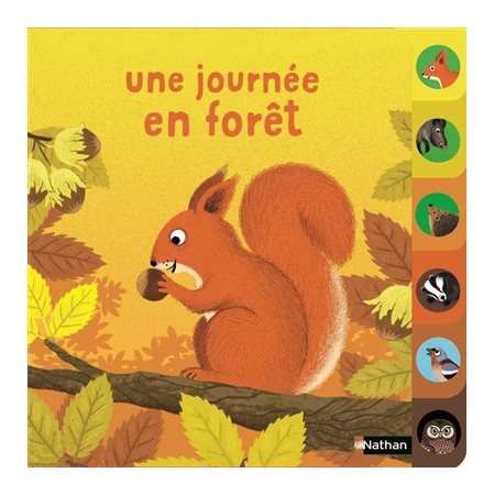 Une journée en forêt