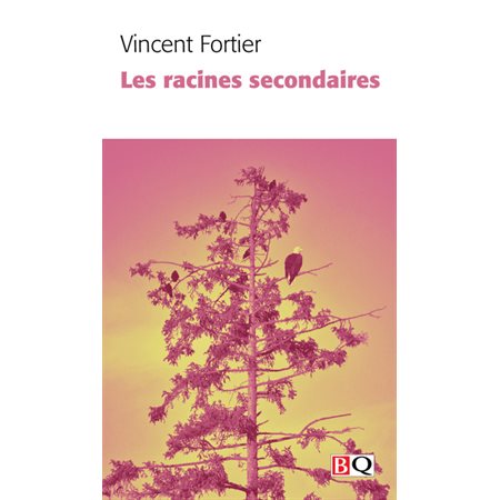 Les racines secondaires