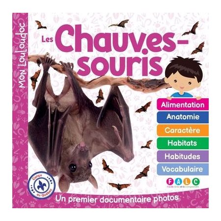 Mon Louloudoc : Les chauves-souris