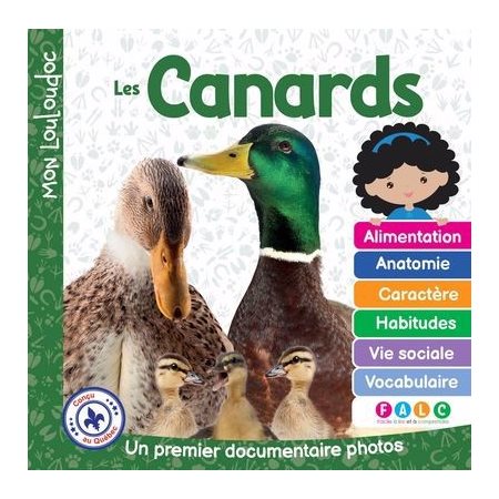 Mon Louloudoc : Les canards