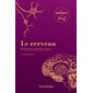 Le cerveau