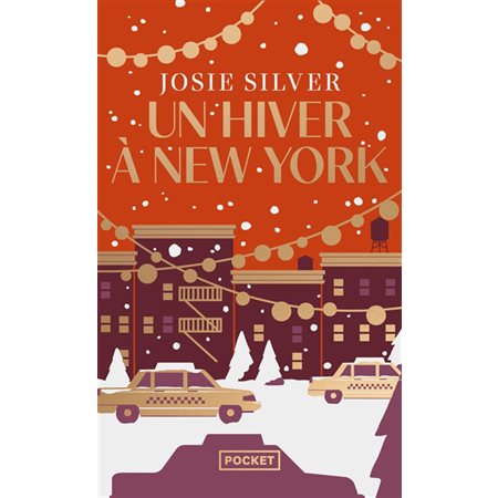 Un hiver à New York